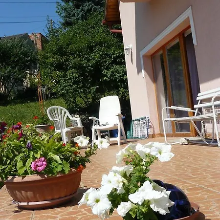 Pensjonat Hejo *