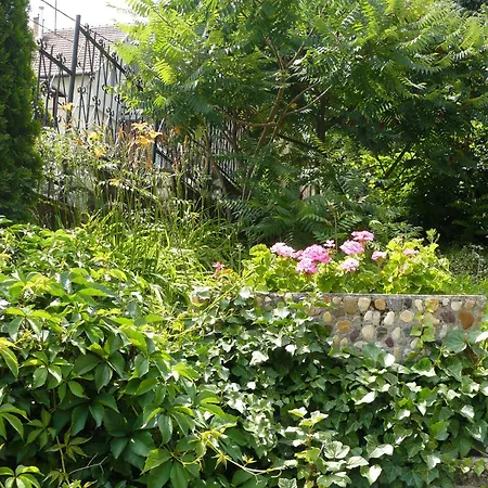 Hejo Pensjonat Miszkolc