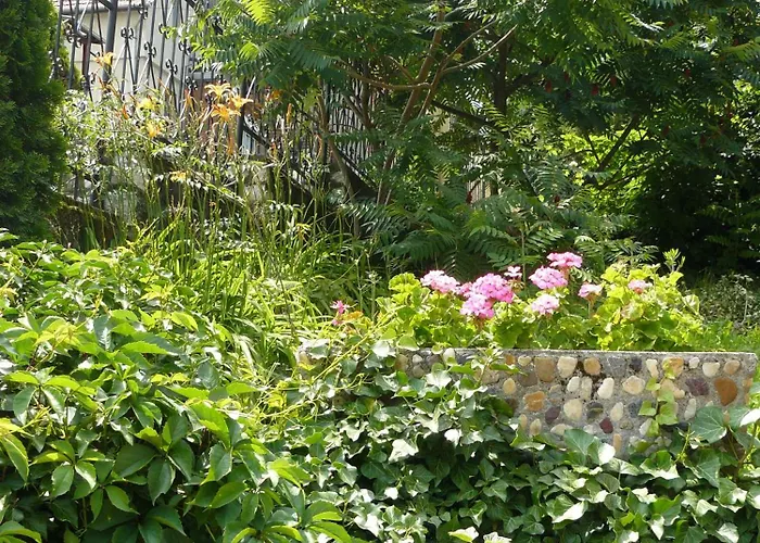 Hejo Gasthuis Miskolc